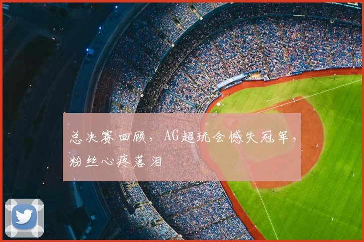 总决赛回顾，AG超玩会憾失冠军，粉丝心疼落泪
